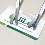 Wilkinson Face Lift Scissors