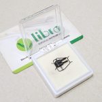 Microvascular Approximator Double Clamp With Frame, Dia 0.6mm - 1.4mm, Length 11mm, For Veins,Black